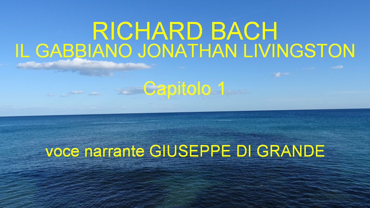  Il Gabbiano Jonathan Livingston 1