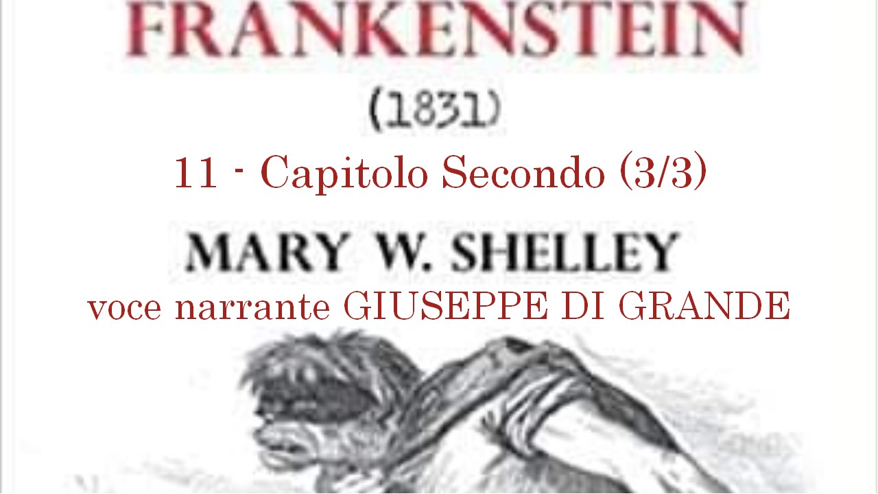 Frankenstein 11