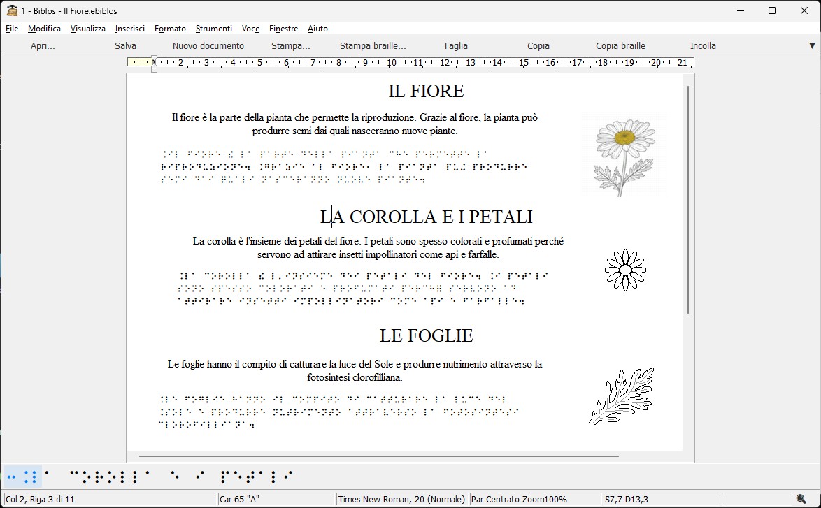 Biblos e la didattica